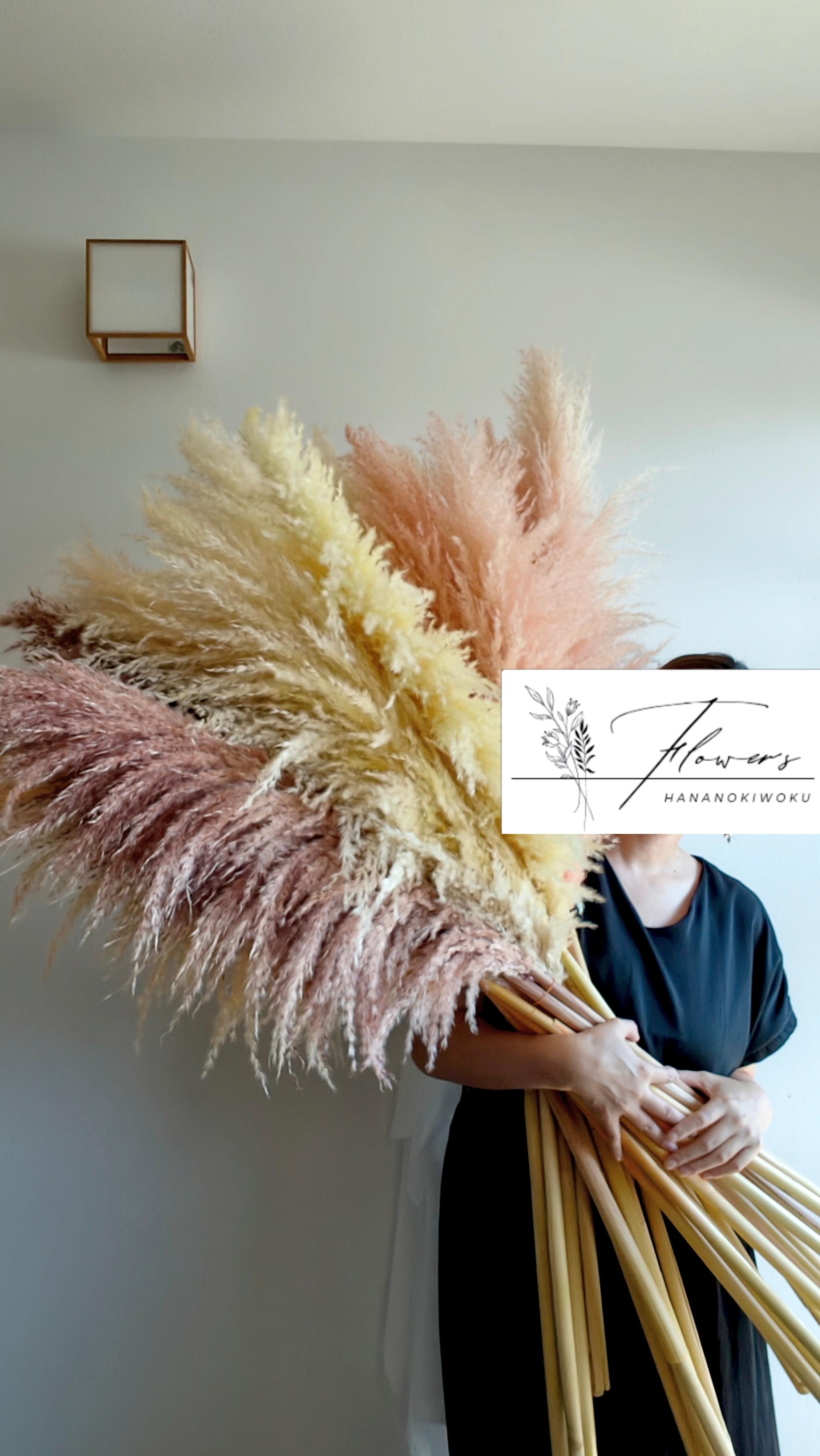 今季！暖色系の秋冬パンパスグラス  新築祝いドライフラワー インテリア ウェディング　即納クリスマス20251枚目の画像